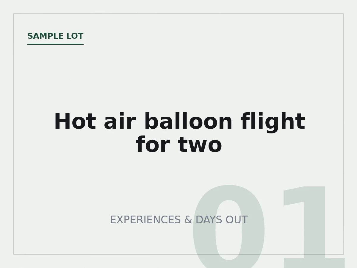 Hot air balloon flight for two