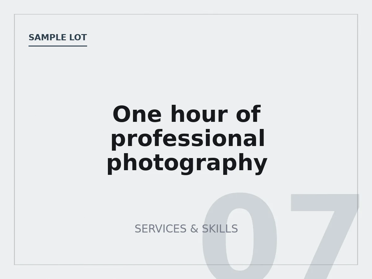 One hour of professional photography